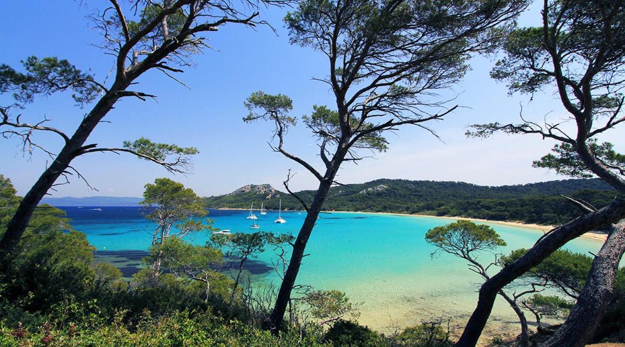 T3 - 5pers - Proche Toutes Commodites - Quartier Recherche - Court Et Long Sejour - Cosy - Lumineux - Fonctionnel Toulon